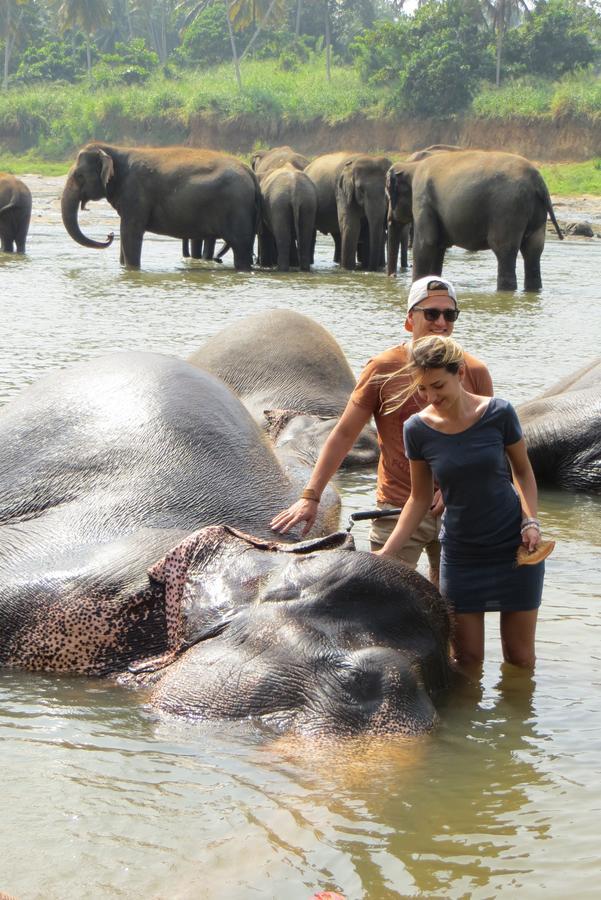 Funky Lanka Tours Hotel Kandy Esterno foto